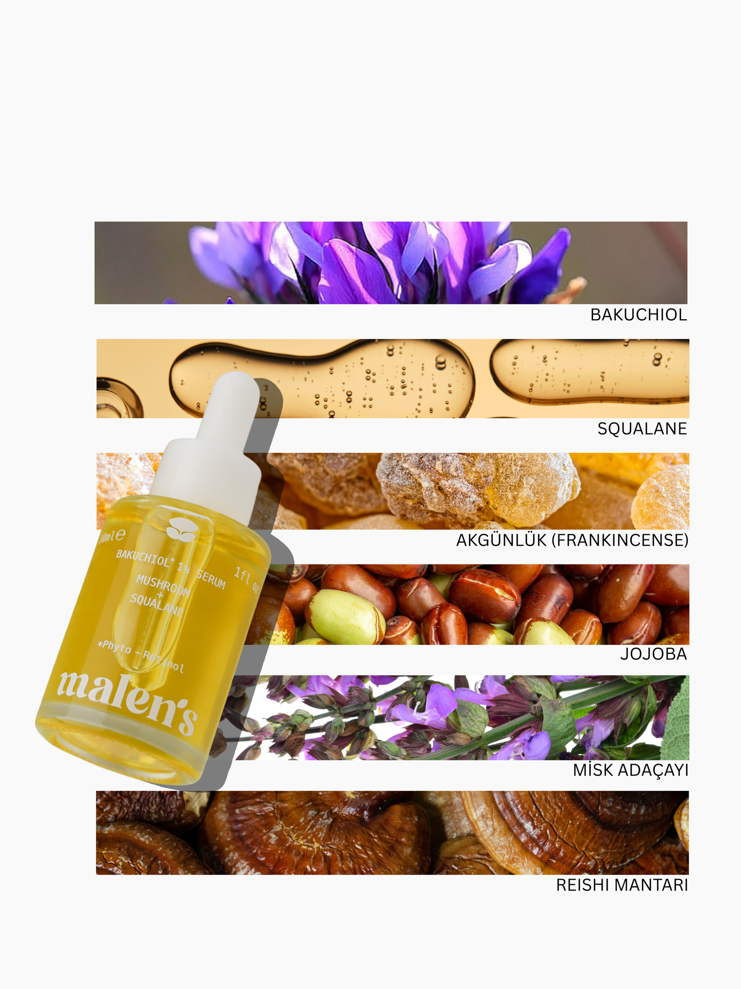 BAKUCHIOL 1% SERUM MUSHROOM + SQUALANE 30 ml | Gündüz & Gece Bakım Serumu - Bitkisel Retinol + Skualan + Reishi Mantarı
